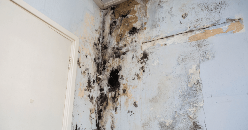 What Does Water Damage Look Like?